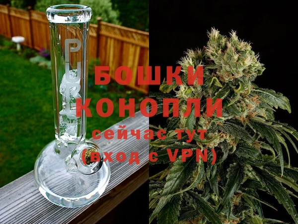 дмт Богданович